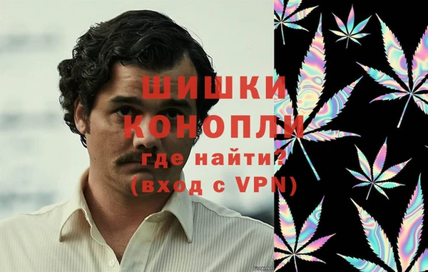СК Верея