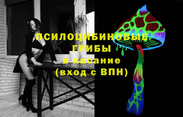 СК Верхний Тагил